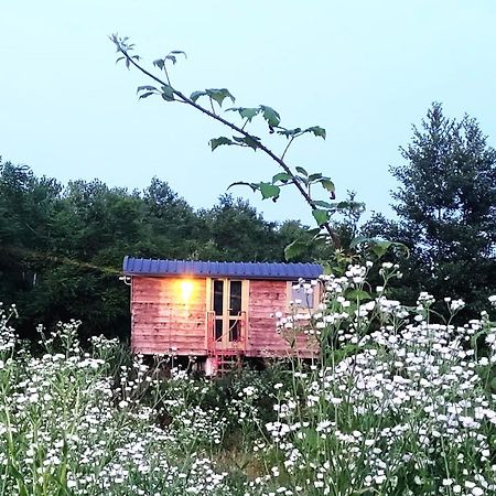 Casetta Sul Lago Albairate Екстериор снимка