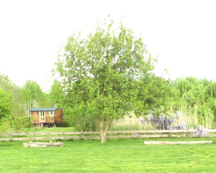 Casetta Sul Lago Albairate Екстериор снимка